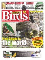 Cage & Aviary Birds
